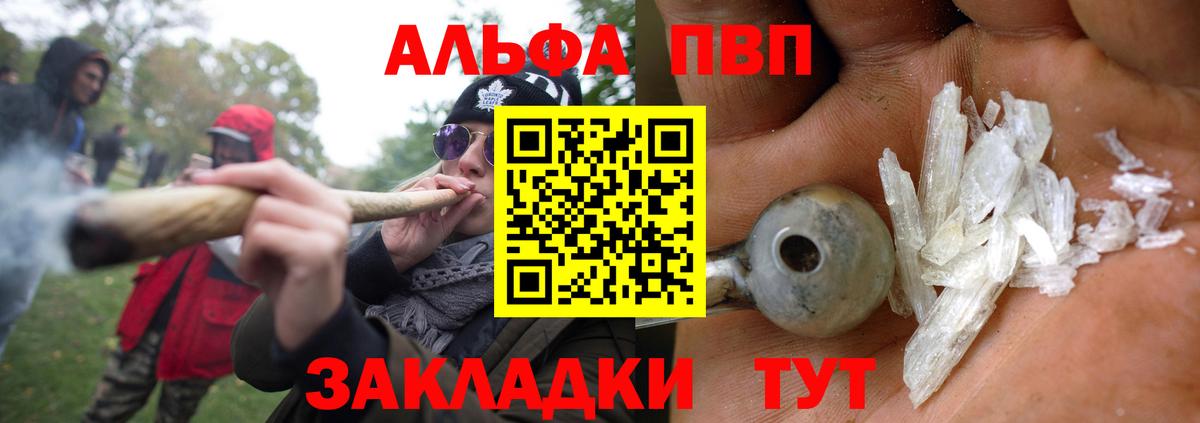 Alfa_PVP СК КРИС Геленджик