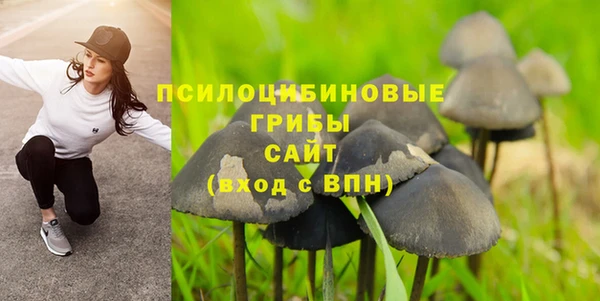 apvp Алзамай